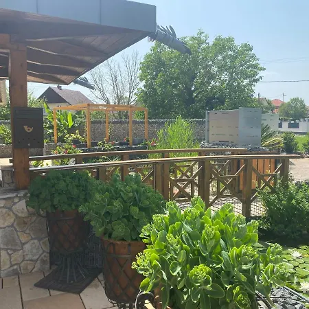 Bed & Breakfast Oazis Panzio *