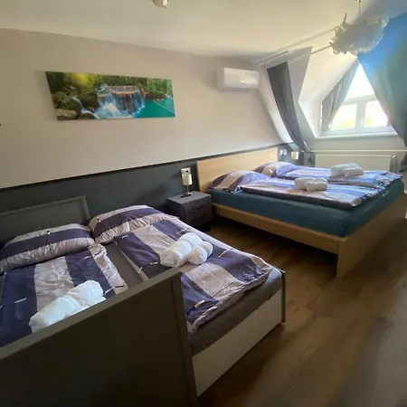 Oazis Panzio 3*